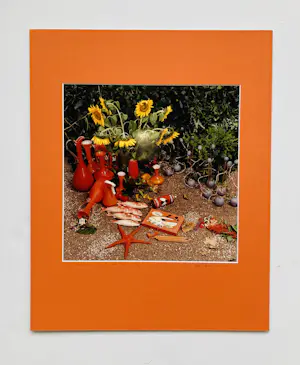 Alex Vermeulen - Wild romance about still life kaufen? Bieten Sie von 45!
