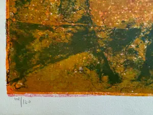 Dang Lebadang - Lithographie "Vision Stellaire" kopen? Bied vanaf 230!