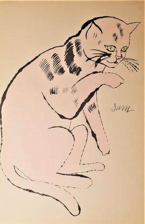 Andy Warhol - SAM, 1954 kopen? Bied vanaf 3400!