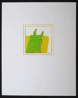 Luuk Stalenhoef - Kleurenets, Gedragen hemd kopen? Bied vanaf 1!