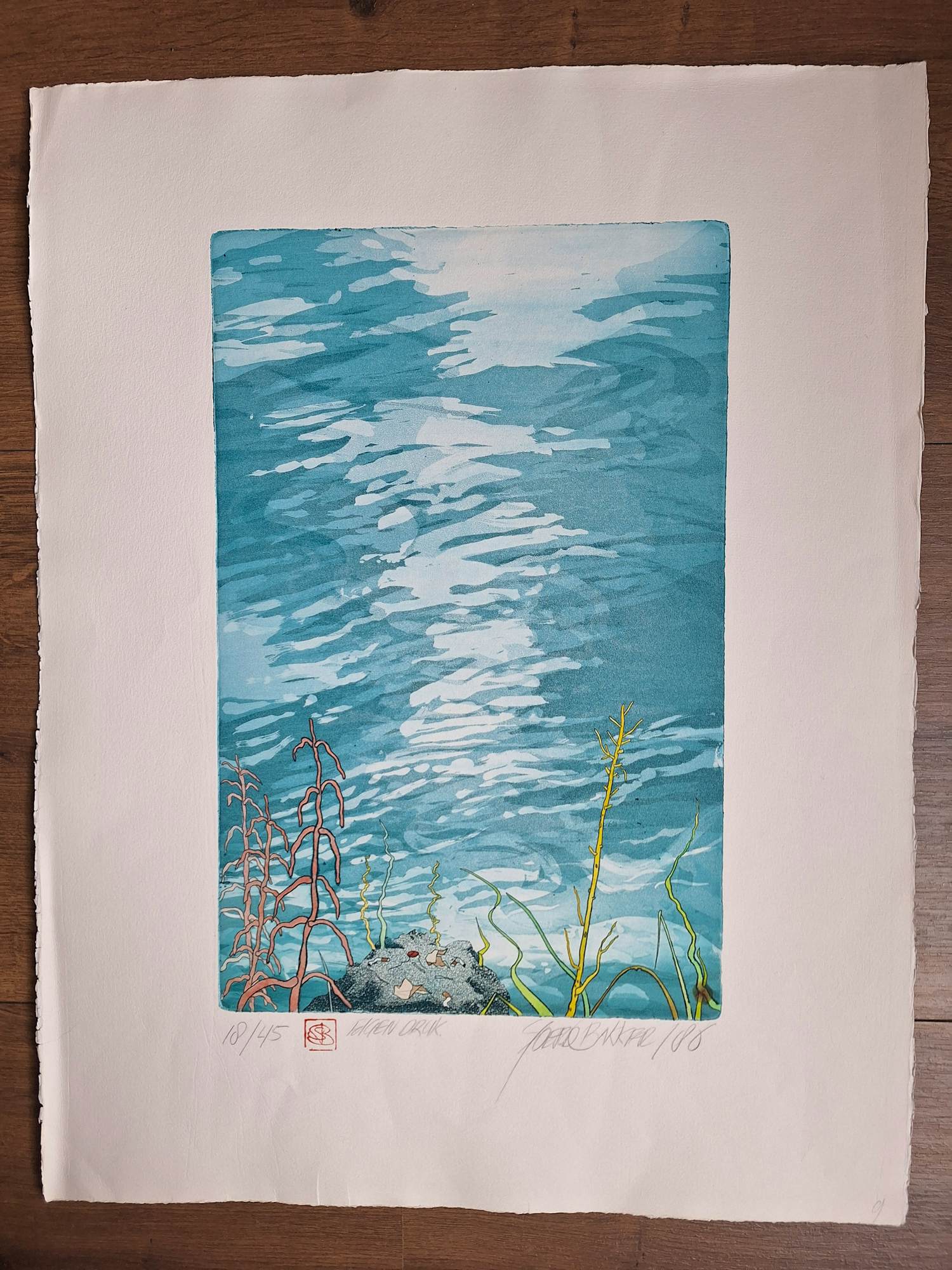 Buy Sjoerd Bakker - Rookplek? Bid from 50!