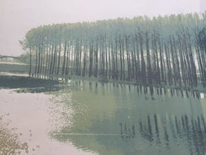 Martin T.J.M van de Laar - landschappelijk tweeluik | zeefdruk - ingelijst kopen? Bied vanaf 39!