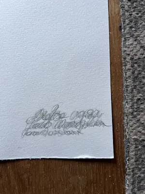 Sietse Smeding - Toekomst 1 kopen? Bied vanaf 10!