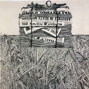 Fred van der Wal - Daily News verkocht voor € 45!