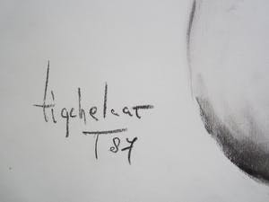 Andre Tigchelaar - Model kopen? Bied vanaf 20!