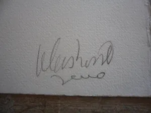 Peter Klashorst - Litho. Titel, "Pregnant" . kopen? Bied vanaf 35!