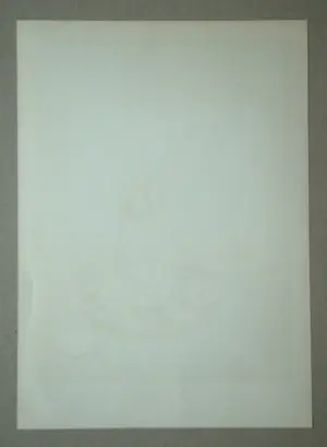 Roger Chapelain-Midy - Stilleven met ananassen en granaatappels - Originele lithografie - 1961 - Handtekening kopen? Bied vanaf 150!