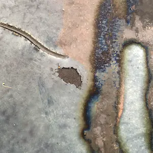 Thomas Buxo - Designschaal met portret kopen? Bied vanaf 1!