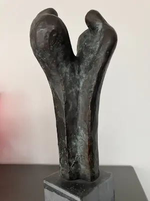 Michiel van Pinxteren - Vruchtbare samenwerking kopen? Bied vanaf 399!