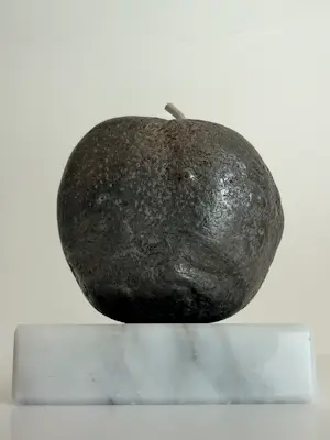 Willy Ceysens - Appel kopen? Bied vanaf 100!