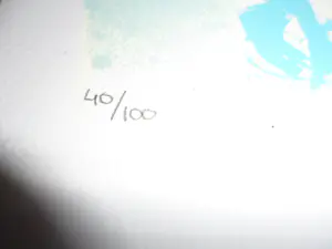 Peter Klashorst - Zeefdruk, Nema - hand gesigneerd - 100 ex kopen? Bied vanaf 80!