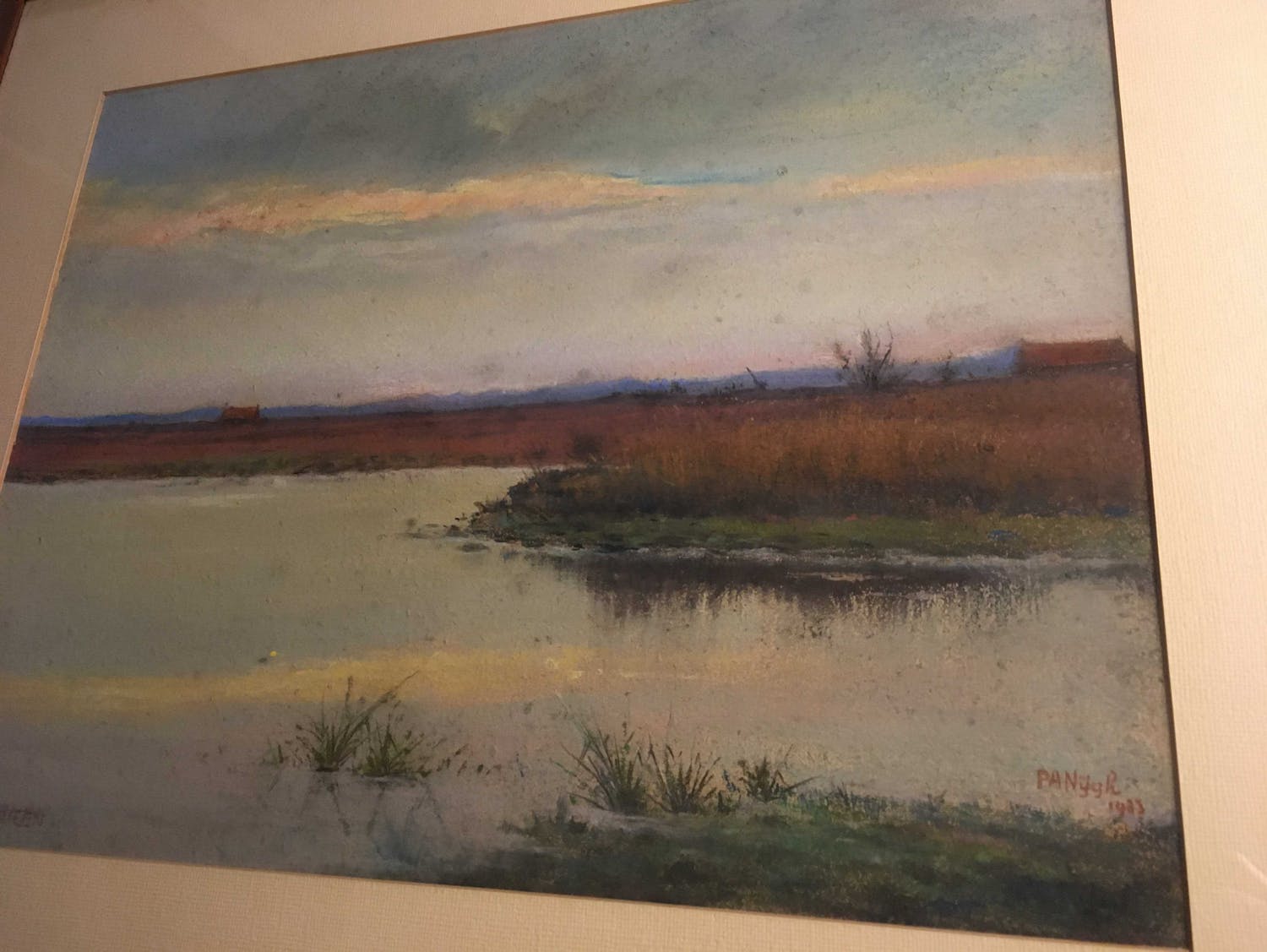 Pieter Arie Nijgh (1876-1959)