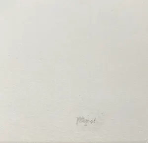 Roger Wittevrongel - Prachtige gesigneerde ets - "Touw" kopen? Bied vanaf 55!