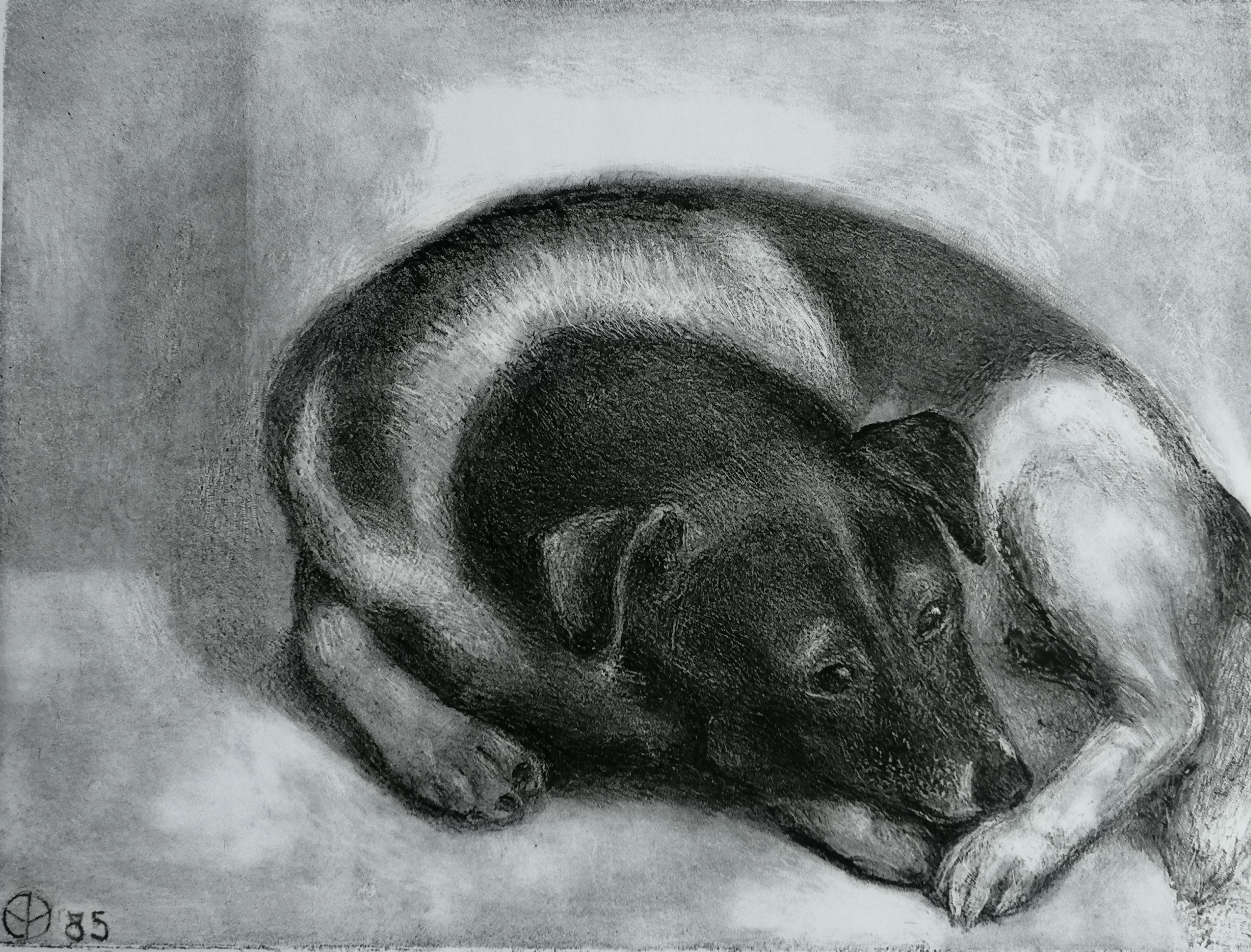 Aart van Dobbenburgh - Liggende hond kopen? Bied vanaf 20!