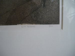 Wim van der Veer - dorp Idaard (Friesland) kopen? Bied vanaf 40!