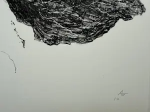 AcheterArmando - handgesigneerde litho | 'Das Blatt' | 2010? Enchérissez de 250!