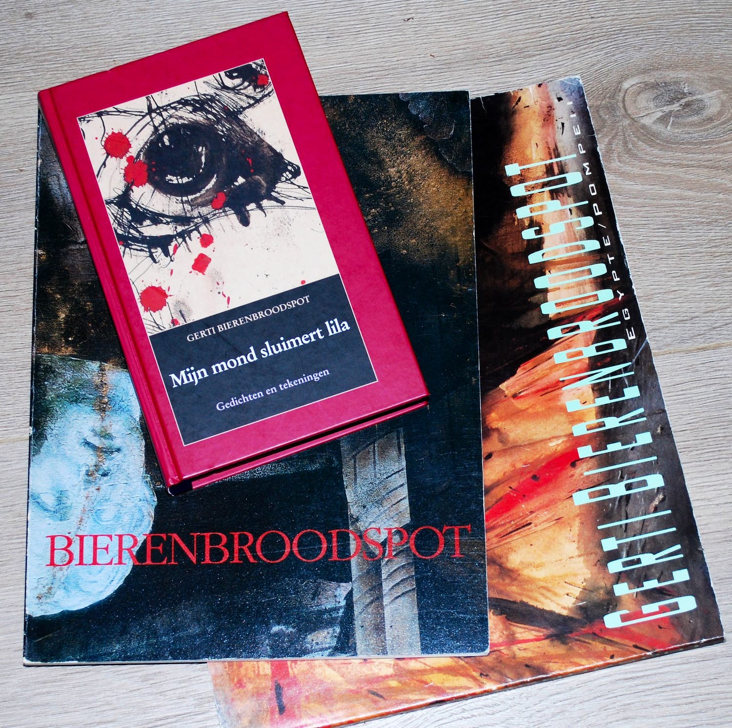 Gerti Bierenbroodspot - 3 boeken verkocht voor € 50!