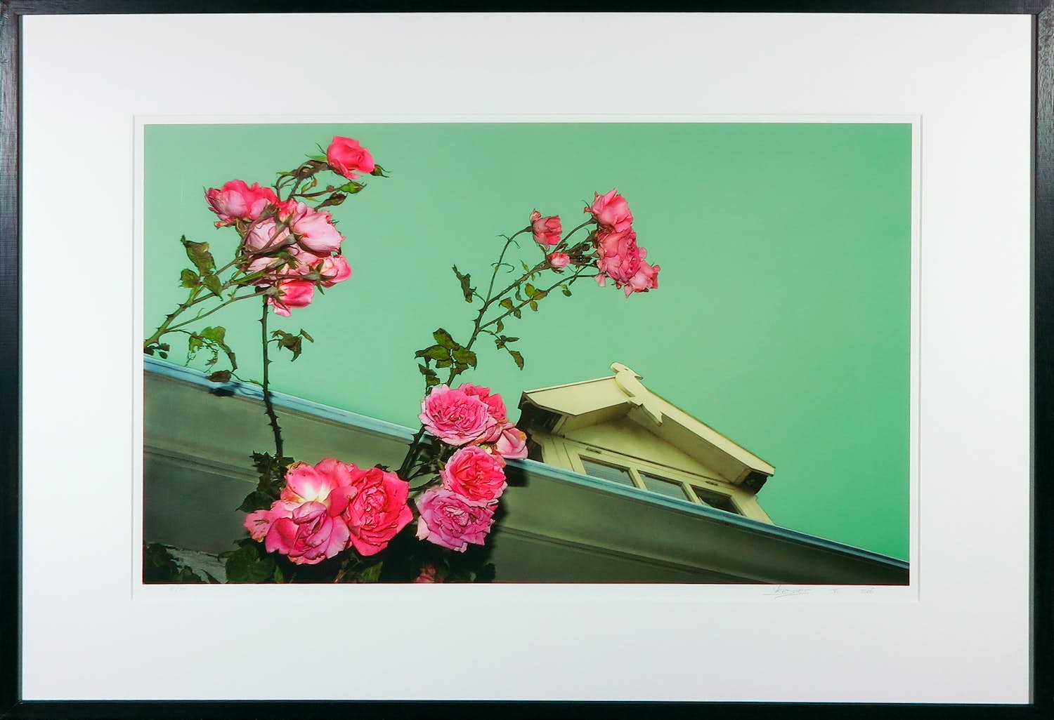Mark Verdoes - Giclée, VogelThuis - Ingelijst verkocht voor € 1!