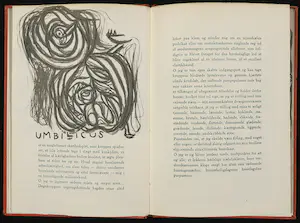 Asger Jorn - en Jørgen Nash, Boek met litho's, tekening en gedichten, Salvi Dylvo kopen? Bied vanaf 1!