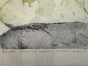 Loes de Haan - ruimte horen - stilte zien kopen? Bied vanaf 175!