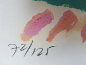 Jan Cremer - litho 72/125, gesigneerd en gedateerd '03 kopen? Bied vanaf 1!