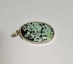 In nieuwstaat zilveren hanger met Spider web Green Turquoise kopen? Bied vanaf 75!