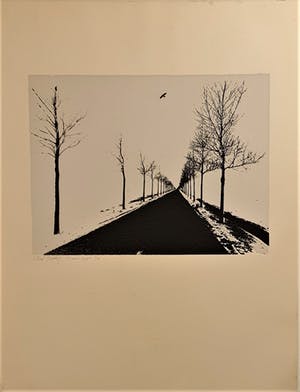 Dirk Ketting - zonder titel kopen? Bied vanaf 50!