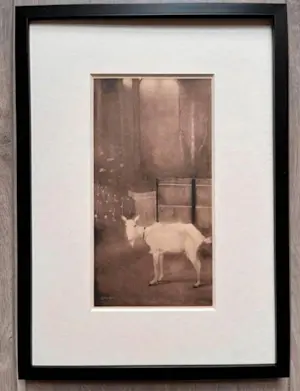 Jan Mankes - Originele Heliogravure Oude Geit 1923 kopen? Bied vanaf 165!