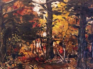 Janus Sibens - Boslandschap kopen? Bied vanaf 50!