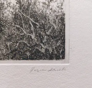 Willem Minderman - Struiken, ets kopen? Bied vanaf 45!