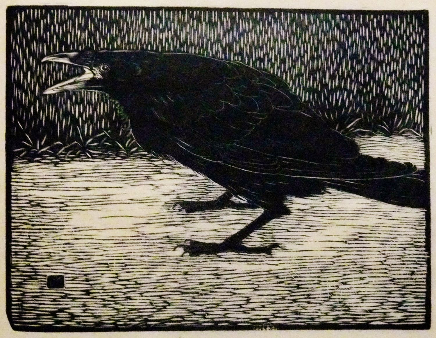 Jan Mankes - Houtsnede, Schreeuwende kraai, Monogram in blok, 1919 kopen? Bied vanaf 350!