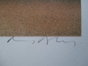 Niet of onleesbaar gesigneerd - Litho kopen? Bied vanaf 10!