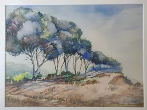 Peter Zwart - (Pieter Willem Zwart) - Aquarel landschap kopen? Bied vanaf 100!
