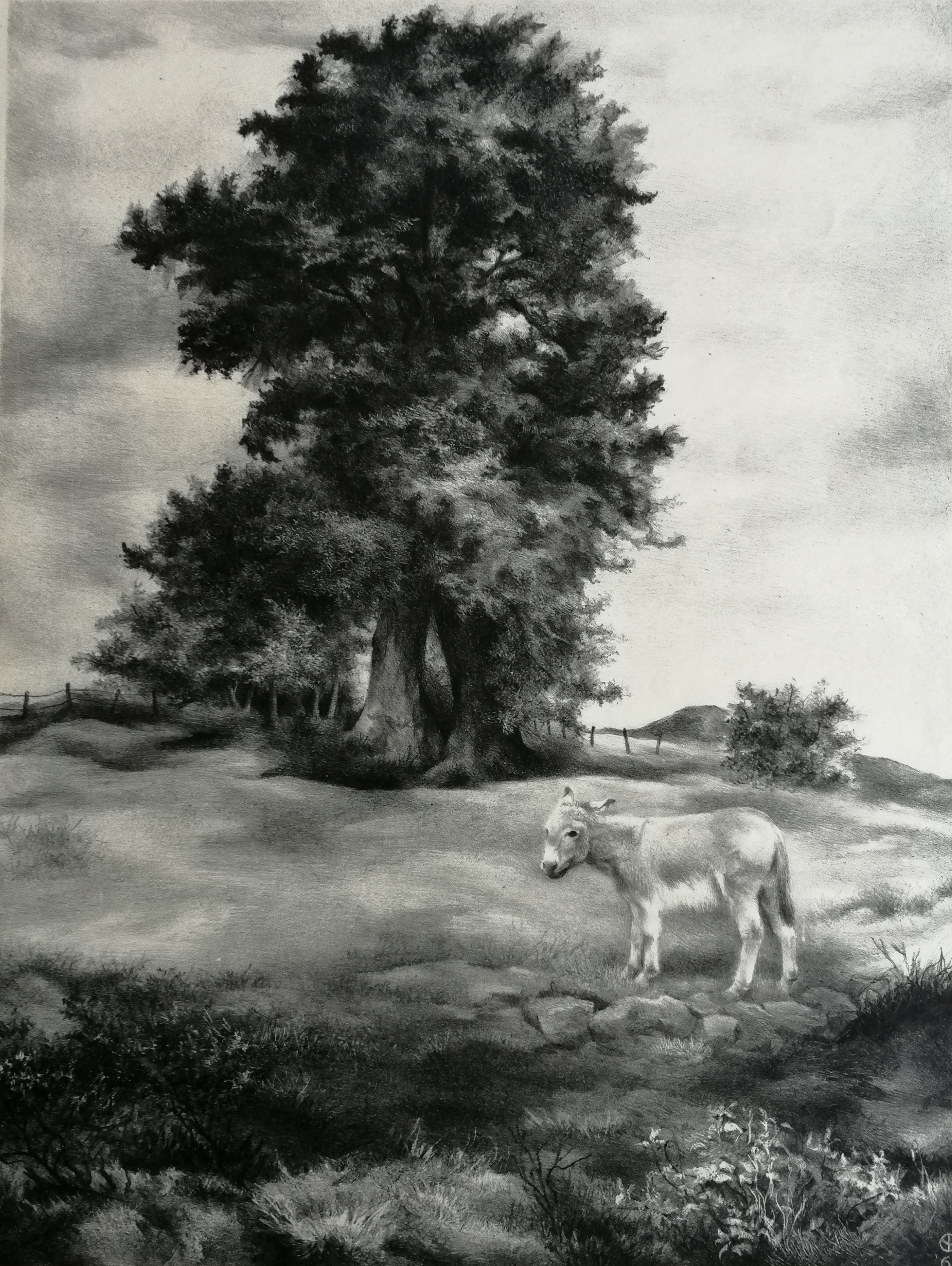 Aart van Dobbenburgh - Ezel in landschap kopen? Bied vanaf 25!