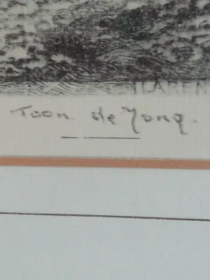 Toon de Jong - basilisk st jans kopen? Bied vanaf 25!