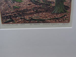 Siemen Dijkstra - De Bork kopen? Bied vanaf 90!