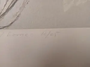 Jan Scheir - The frail, frail grass of home. kopen? Bied vanaf 300!