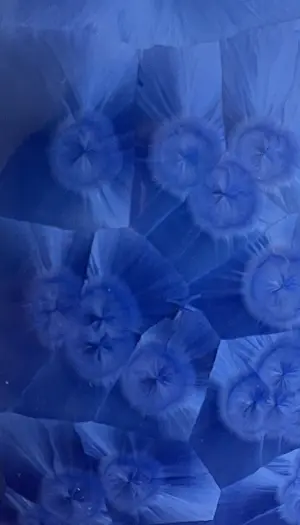 Willy van Bussel - Twee porseleinen flesvazen uitgevoerd in blauw kristallijn glazuur kopen? Bied vanaf 375!