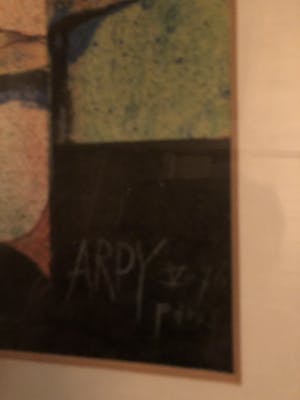 Ardy Struwer - Onbekend kopen? Bied vanaf 200!