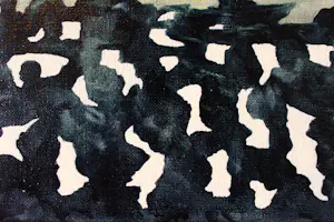 Ad van Riel - Panorama (21) kopen? Bied vanaf 80!