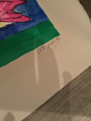 Corneille - Twee kippen ,hanen kopen? Bied vanaf 30!