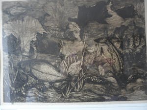 Jan Schonk - Ets, Titel,"Vissen in aquarium". grote ets. kopen? Bied vanaf 45!