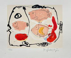 Kees Salentijn - Vier in één vis kopen? Bied vanaf 32!