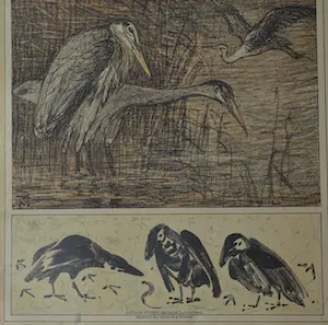 Theo van Hoytema - 7 litho's, verschillende dieren kopen? Bied vanaf 45!