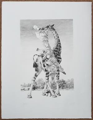 Peter Vos - Gevoelens, litho kopen? Bied vanaf 250!
