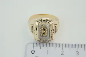 81- Mooi bewerkte, rechthoekige 10krt BWGG USA Salisbury Elk Lick ring kopen? Bied vanaf 400!