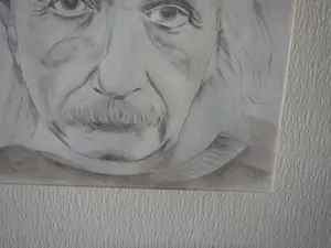 Niet of onleesbaar gesigneerd - Mansportret - Albert Einstein kopen? Bied vanaf 1!