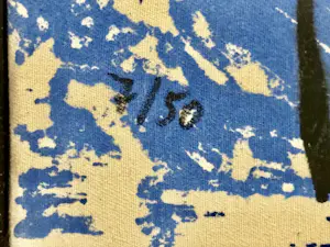 Stefan Szczesny - Still Life kopen? Bied vanaf 300!