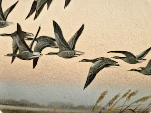 Ari Stolk - Fraaie realistische gouache - "wilde eenden bij zomeravond" - gesigneerd - 1983 kopen? Bied vanaf 78!