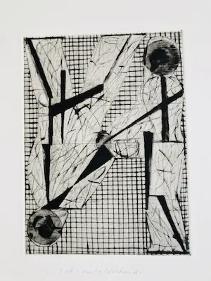 Kees Spermon - drieluik droge naald - schaamteloosheid kopen? Bied vanaf 55!